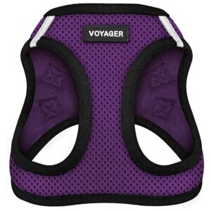 Breathe Easy Air Mesh Harness for Small Medium Dogs, Walks, Reflective, Secure, Purple