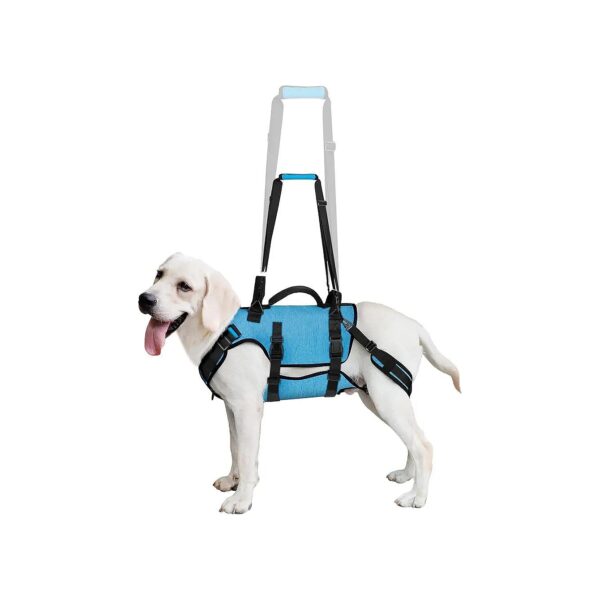 Breathing Mesh Dog Lift Harness for Medium Dogs with Hip Relief