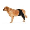 Breathing Relief for Back Leg Pain Soreness Dog Knee Brace