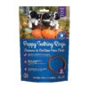 Breed-Size Hard Plastic Puppy Teething Rings Pumpkin Flavor