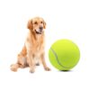 Bright Fluorescent Yellow Tennis Ball Dog Ball Gift with Needle