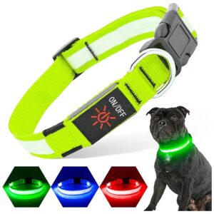 Bright LED Light Dog Collar with Adjustable Size and Micro USB Rechargeable Technology