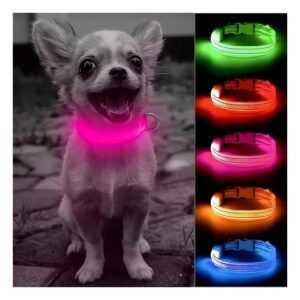 Bright Pink LED Dog Collar for Small Breeds Rechargeable Reflective Pet Accessory