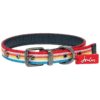 Bright Polyester Rainbow Stripe Dog Collar for Small Breeds