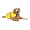 Bright Yellow Dog Life Jacket for Dogs 50-90 Pounds with Grab Handle