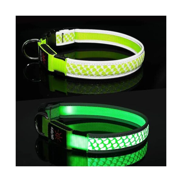 Brighten Up Your Night Dog Walking Experience with Waterproof Led Light Up Dog Collar