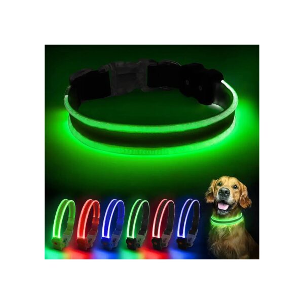 Brightly Glowing LED Adjustable Dog Collar for Nighttime Visibility