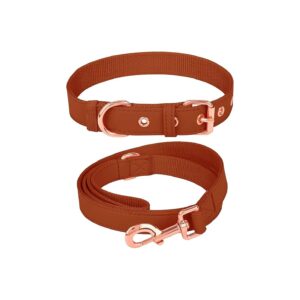 Brown Faux Leather Collar with Rose Gold Buckle and Durable Nylon Leash