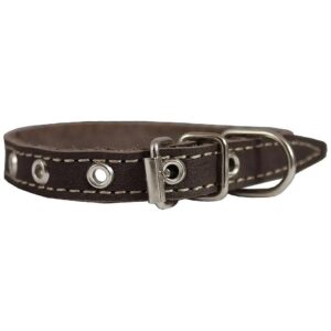 Brown Leather Adjustable Strap Dog Collar with 4 Holes and Lightweight