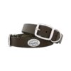 Brown Leather Dog Collar with 2 Decorative Silver Concho Logos