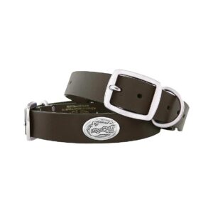 Brown Leather Dog Collar with 2 Decorative Silver Concho Logos