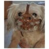 Brown Leather Dog Muzzle for Shih Tzu Pug Flat Face Short Snout Males and Females