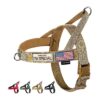 Brown No Pull Dog Harness with Quick Fit Adjustments for Easy Walking