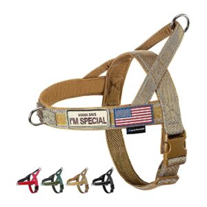 Brown No Pull Dog Harness with Quick Fit Adjustments for Easy Walking