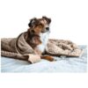 Brown Weighted Dog Blanket for Anxious Pups with Premium Minky Fabric