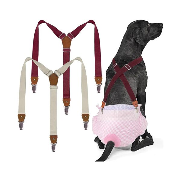 Brown and Burgundy Soft Elastic Dog Suspenders for Diaper Keeper