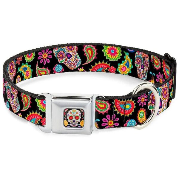 Buckle Down Seatbelt Buckle Dog Collar in Multicolor Paisley Design