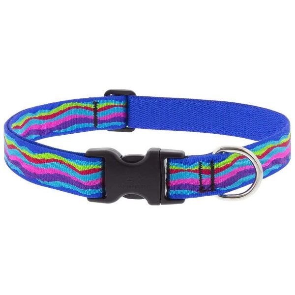 Built Dog Collar That's Adjustable from 12 to 20 Inches