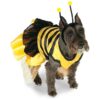 Bumblebee Pet Costume for Small Dogs with Antennae Headband and Full Dress