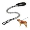 Bungee Leash for Large and Strong Dogs with 500lb Tensile Strength and Lightweight Design