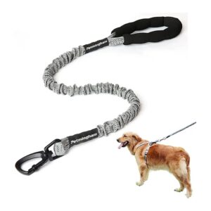 Bungee Leash for Large and Strong Dogs with 500lb Tensile Strength and Lightweight Design