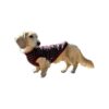 Burgundy and Grey XL Dog Sweater with Napping Stripe Pattern for Chiweenies