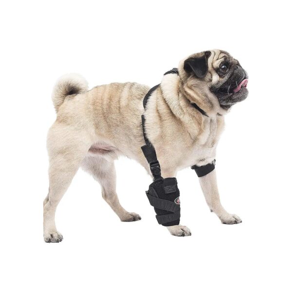 Caldera Pet Therapy Small Carpal Elbow Wrap with Adjustable Velcro Straps and Gel