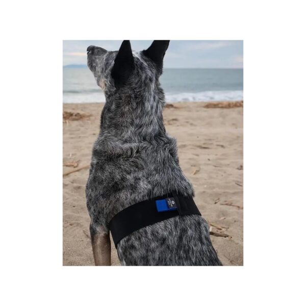 Calming Dog Anxiety Strap for Instant Pressure Relief during Stressful Situations