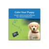 Calming Puppy Music for Noise Phobias and Sound Sensitivities Treatment