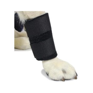 Canine Carpal Wrist Joint Stabilizer for Front Legs - Arthritis Relief for Dogs