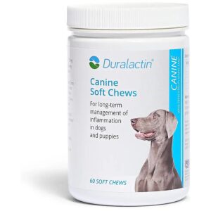 Canine Chews with Dried Milk Protein for Healthier Joints and Activity