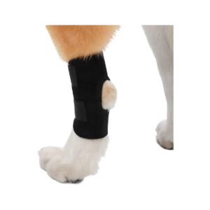 Canine Hind Leg Support for Arthritis Relief and Injury Prevention XS