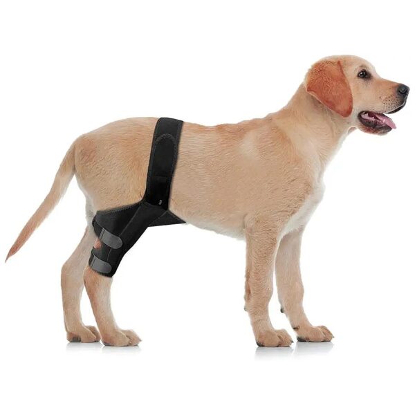 Canine Knee Stifle Brace Wrap Leg Joint Pain Muscle Sore Relief Support Dog Braces