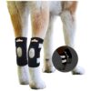 Canine Rear Leg Hock Braces for Arthritis Relief and Sprain Prevention