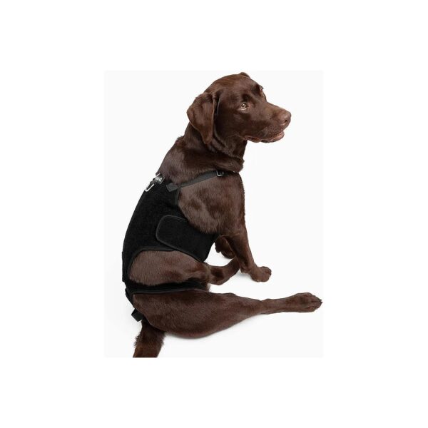 Canine Rehabilitation Backbrace for Dogs with Spinal Injury and Pain