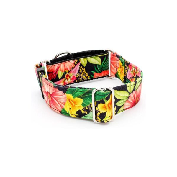 Caninus Tropical Flower Dog Collar with Adjustable Width and Martingale Buckle