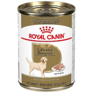 Canned Dog Food For Adult Labrador Retrievers With Tasty Loaf In Sauce