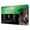 Capstar for Large Dogs, Oral Flea Treatment, Kills Adult Fleas in 30 Minutes, 6 Tablets