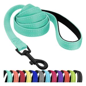 Carbon Plated D-Ring Nylon Dog Leash in Mint Green for Small Dogs Everyday Use 5ft Long