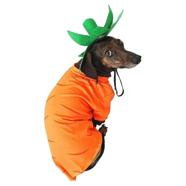 Carrot Easter Halloween Dog Outfit with Green Hat Adjustable Chinstrap Medium