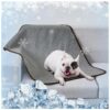 Casual Dog Blanket with Cooling Fabric and Waterproof Layer for All-Season Comfort