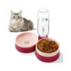 Cat Food and Water Bowl Set with Automatic Water Supply for Cats and Small Dogs