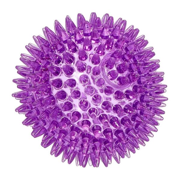 Catch and Play Fun Dog Toy with Spikey Rubber Ball Design