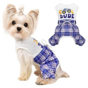 Catching Blue Plaid Dog Costume for Small Dogs