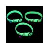 Cats and Dogs Glowing Collar with Bell and Light up Puppy Collar Pet Grooming Accessories