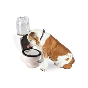 Ceramic Pet Water Fountain with 2L Bottle Capacity and Dish-Like Design for Dogs and Cats