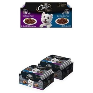 Cesar Gourmet Filets and Savory Delights Adult Dog Food Variety Pack with 36 Servings