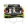 Chain Dog Truck Bed Leash System for Two Dogs with Heavy Duty Connectors