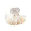 Champagne Small Dog Wedding Dress with Multi-Layer Tutu Skirt and Embroidered Flowers