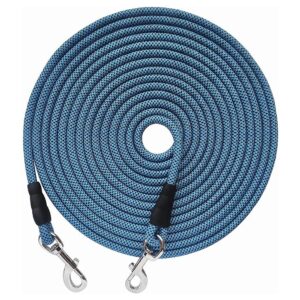 Check Cord Design Leash for Dog Tie Out Training and Recreation